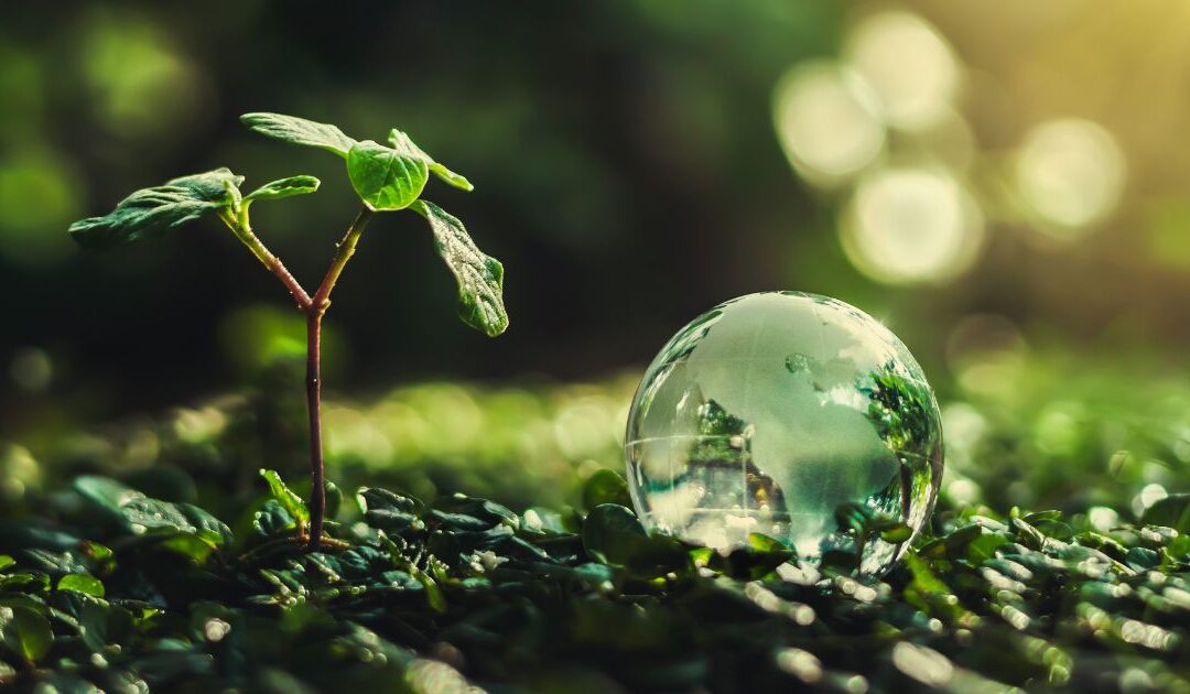 Poder das Soluções Personalizadas para Transformar Vidas e Cuidar do Planeta